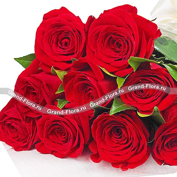Букет красных роз (акционный букет, высота розы 40-50 см)